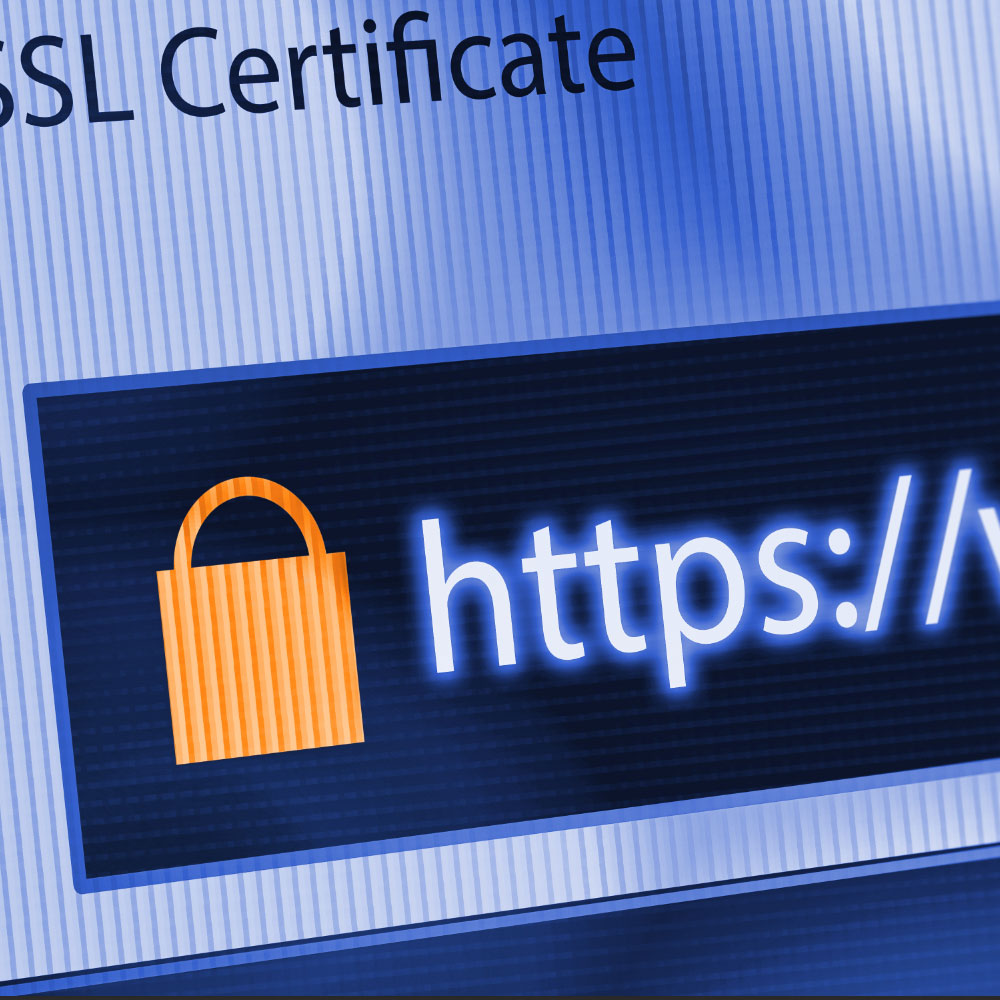SSL, CDN, daily backups