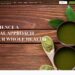 Carolina Holistic Medicine